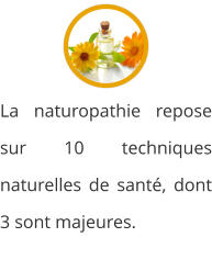 La naturopathie repose sur 10 techniques naturelles de santé, dont 3 sont majeures.